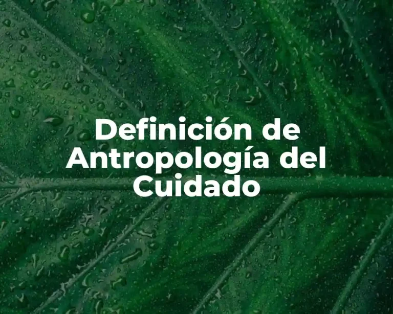 Definición de Antropología del Cuidado