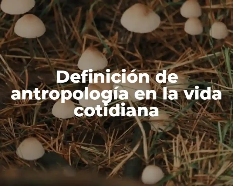Definición de antropología en la vida cotidiana