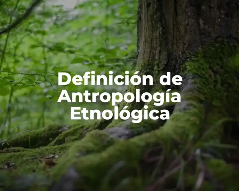 Definición de Antropología Etnológica