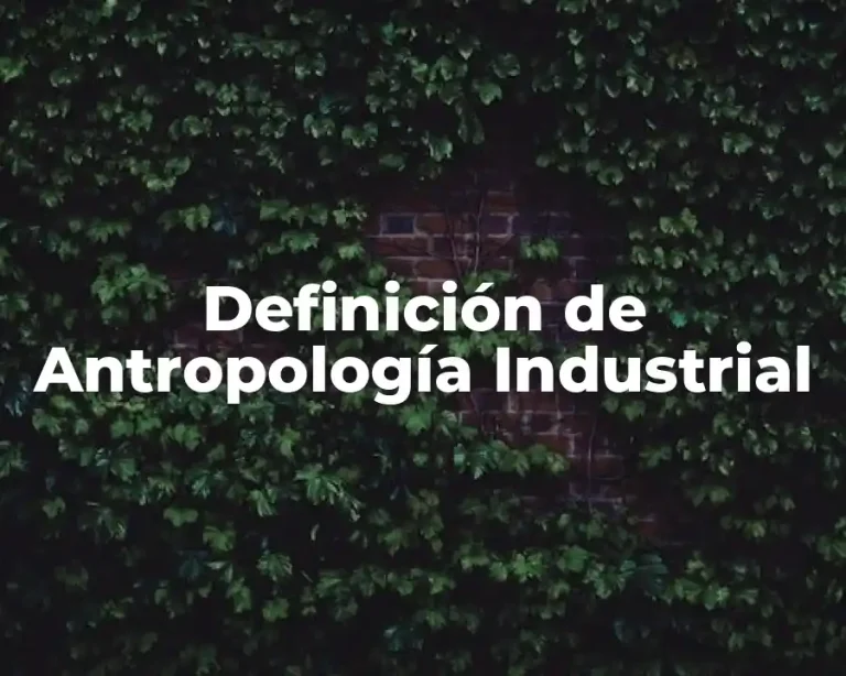 Definición de Antropología Industrial