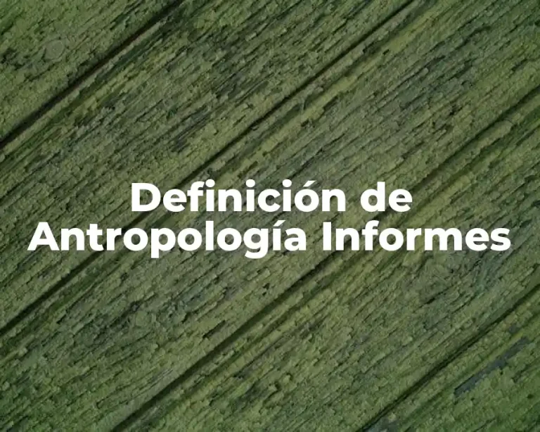 Definición de Antropología Informes