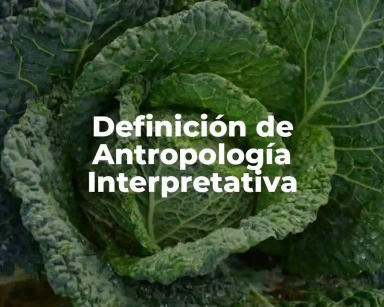 Definición de Antropología Interpretativa