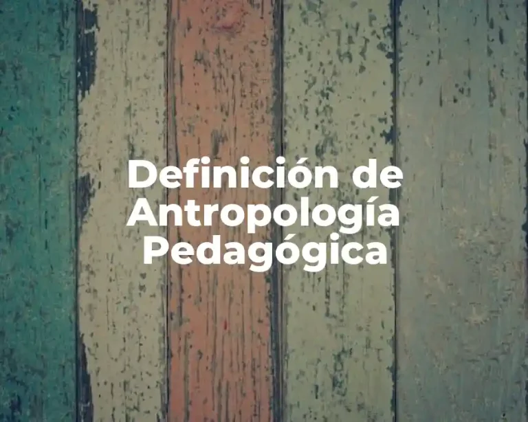Definición de Antropología Pedagógica