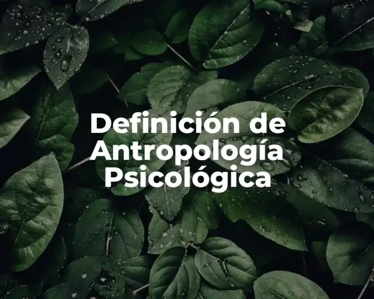 Definición de Antropología Psicológica