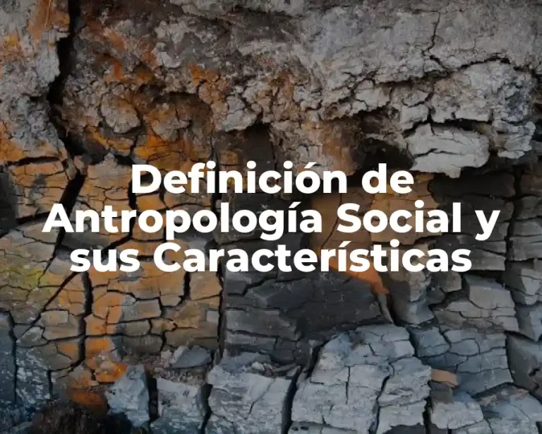 Definición de Antropología Social y sus Características
