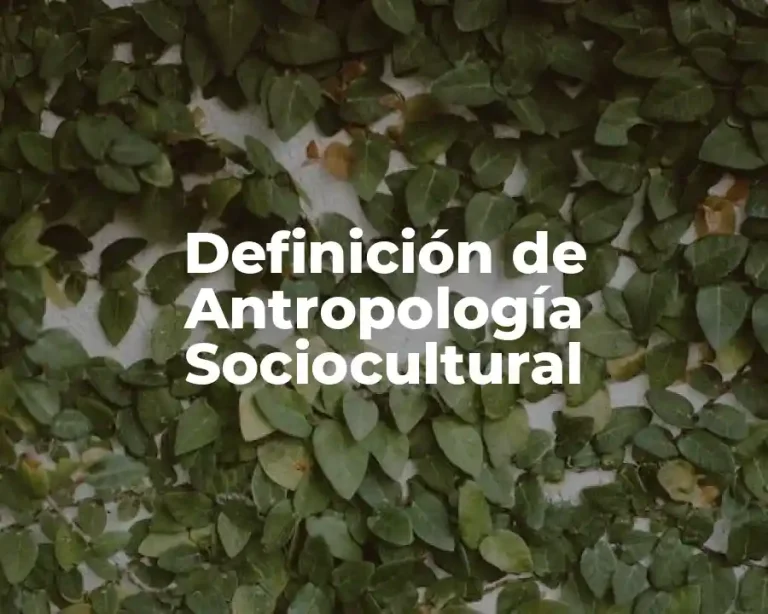 Definición de Antropología Sociocultural