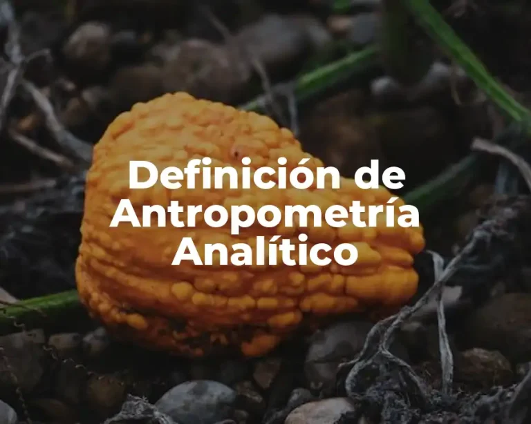 Definición de Antropometría Analítico
