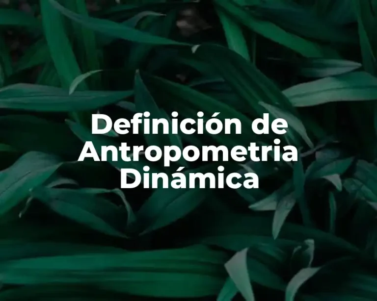 Definición de Antropometria Dinámica