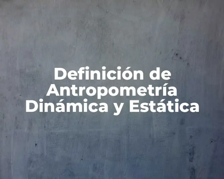 Definición de Antropometría Dinámica y Estática