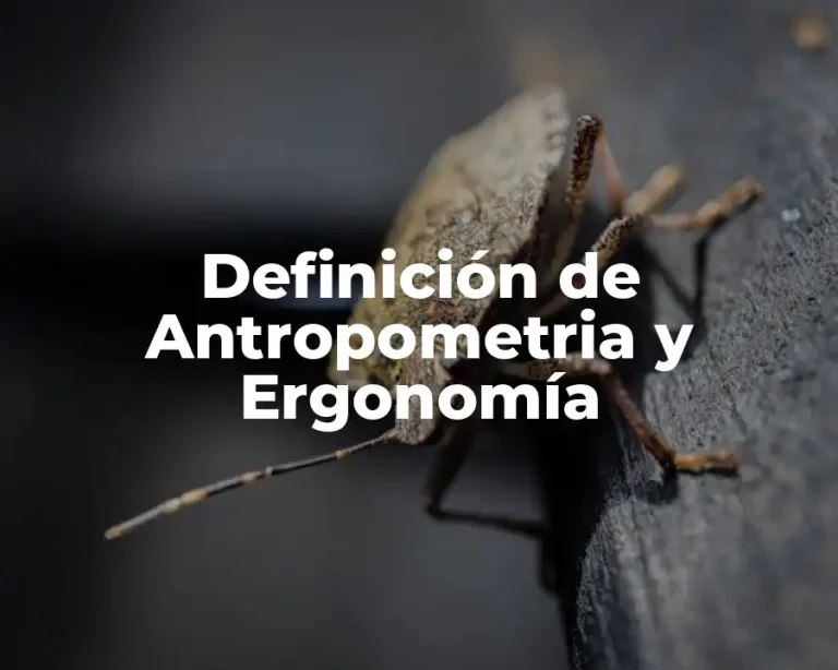 Definición de Antropometria y Ergonomía