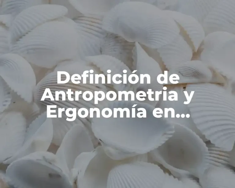 Definición de Antropometria y Ergonomía en Arquitectura