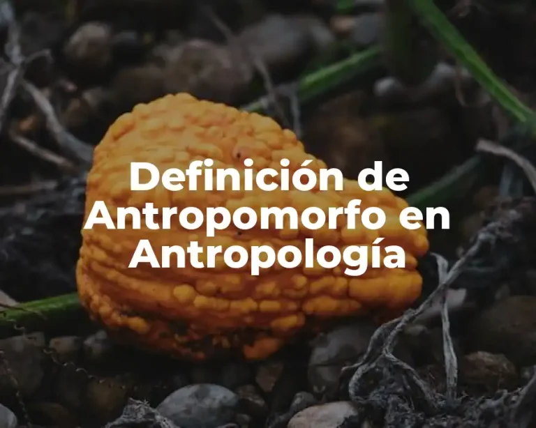 Definición de Antropomorfo en Antropología