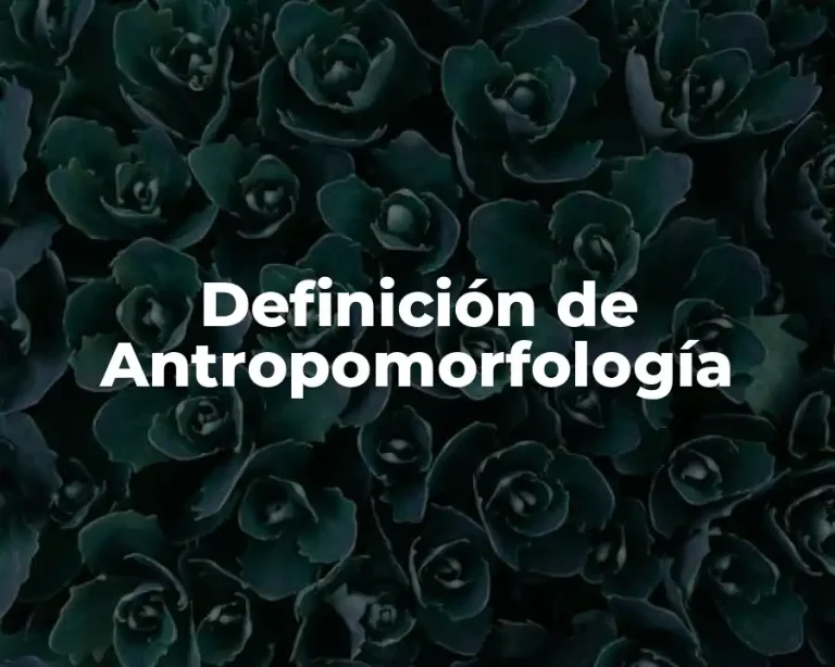Definición de Antropomorfología