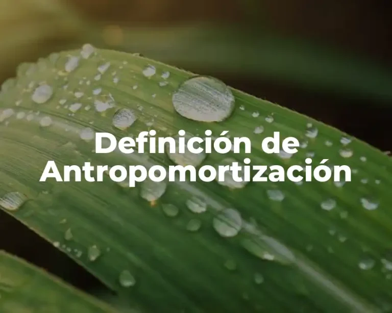 Definición de Antropomortización