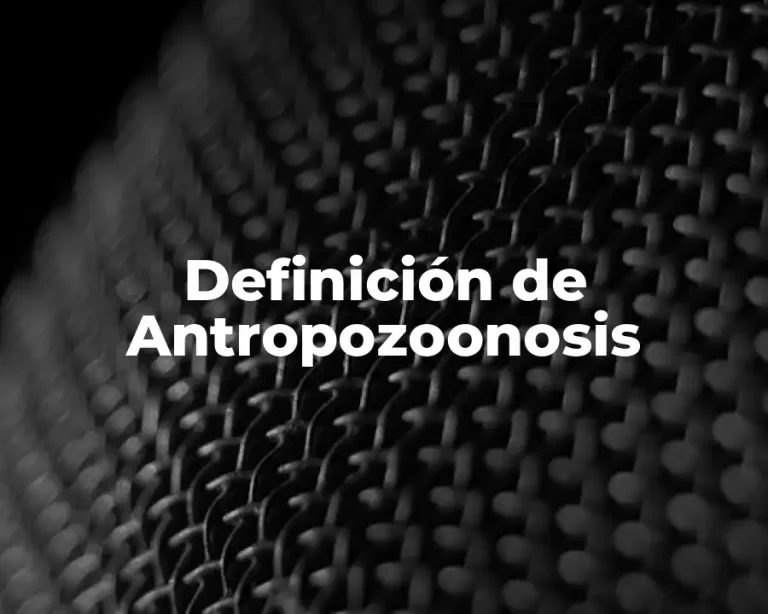 Definición de Antropozoonosis