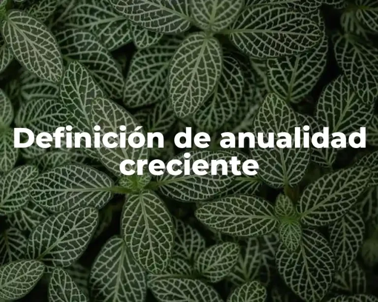 Definición de anualidad creciente