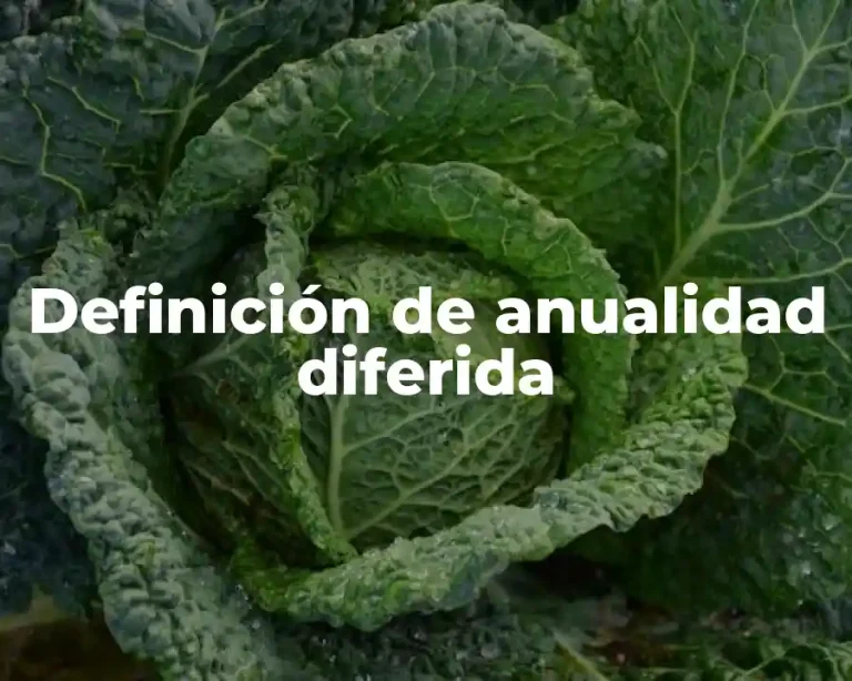Definición de anualidad diferida