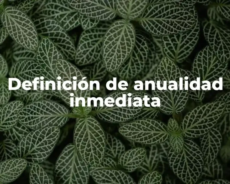 Definición de anualidad inmediata