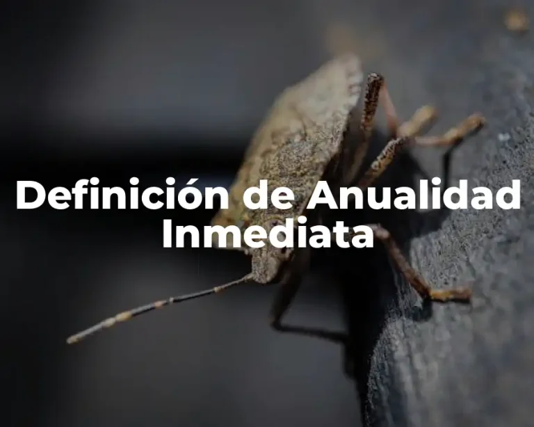 Definición de Anualidad Inmediata