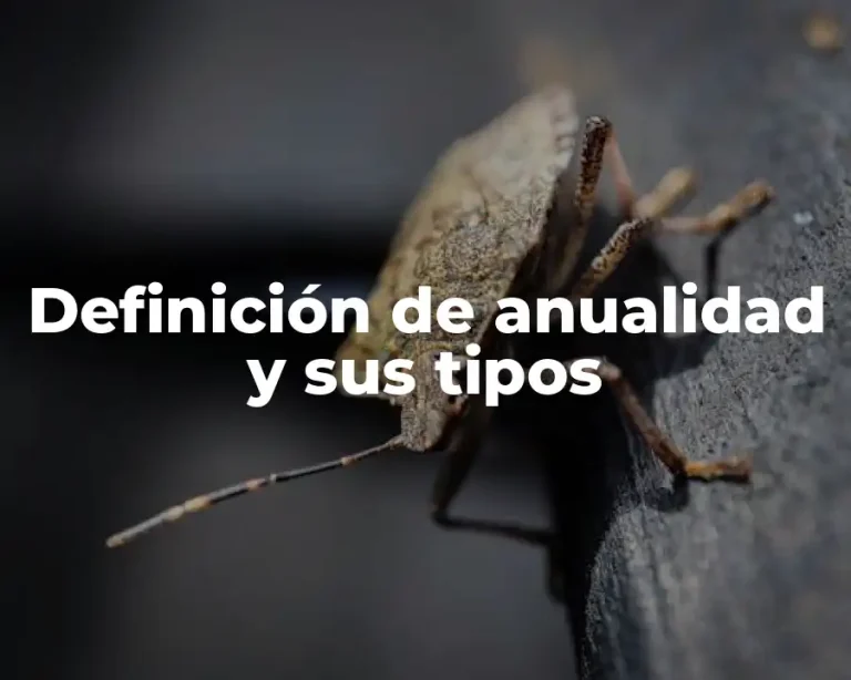 Definición de anualidad y sus tipos