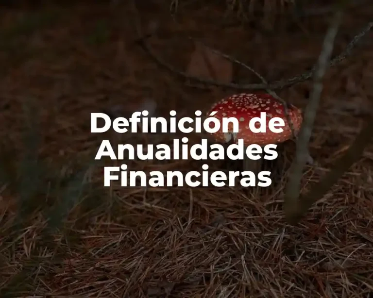 Definición de Anualidades Financieras