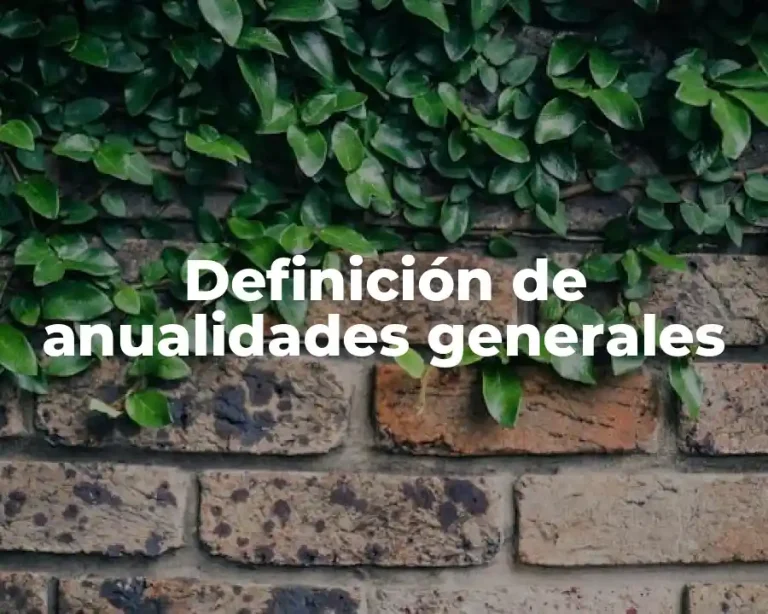 Definición de anualidades generales