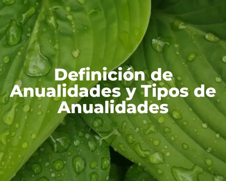 Definición de Anualidades y Tipos de Anualidades