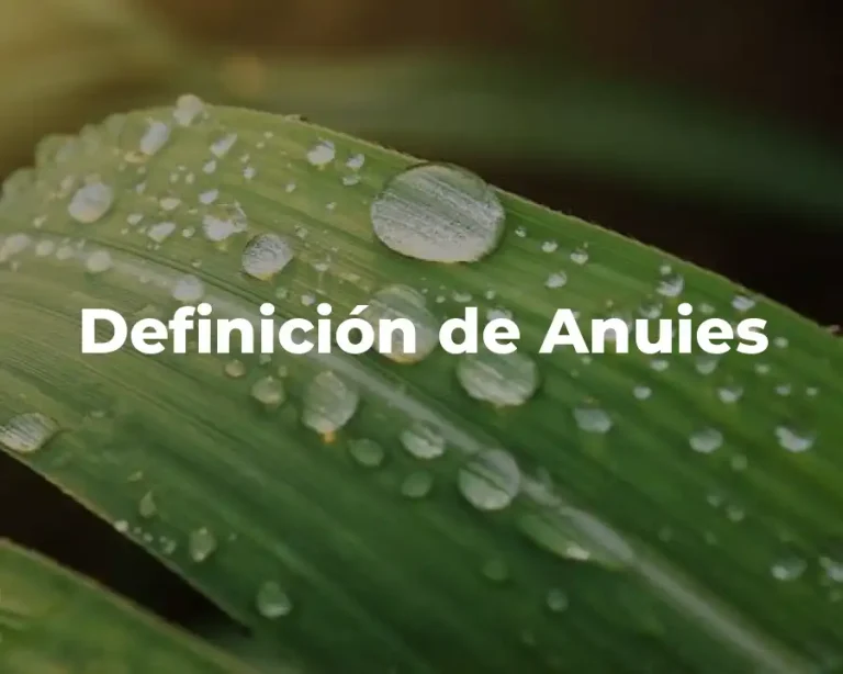 Definición de Anuies