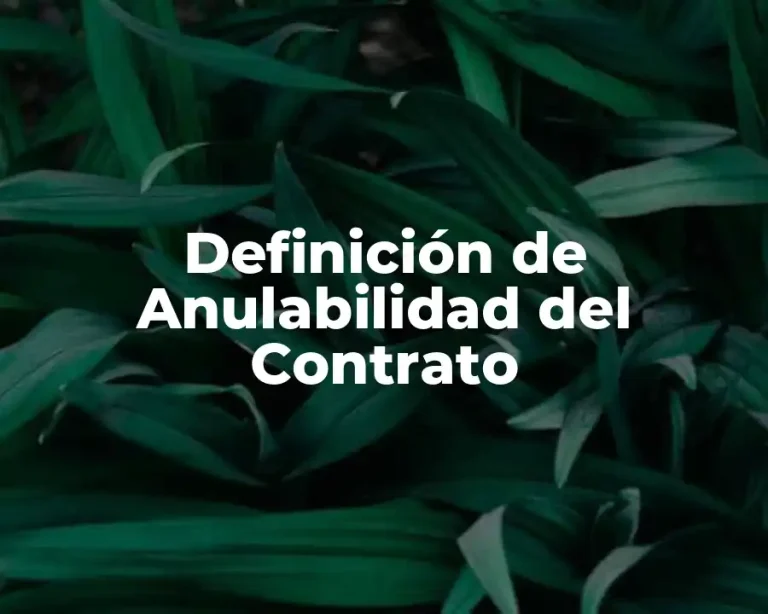 Definición de Anulabilidad del Contrato