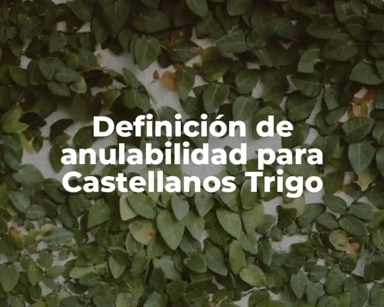 Definición de anulabilidad para Castellanos Trigo