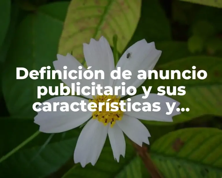 Definición de anuncio publicitario y sus características y estrategias