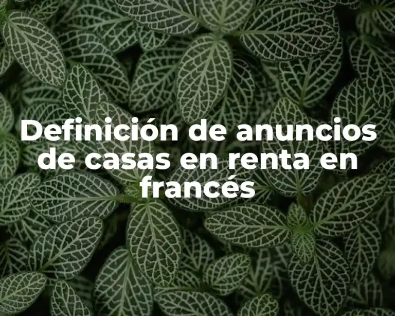 Definición de anuncios de casas en renta en francés
