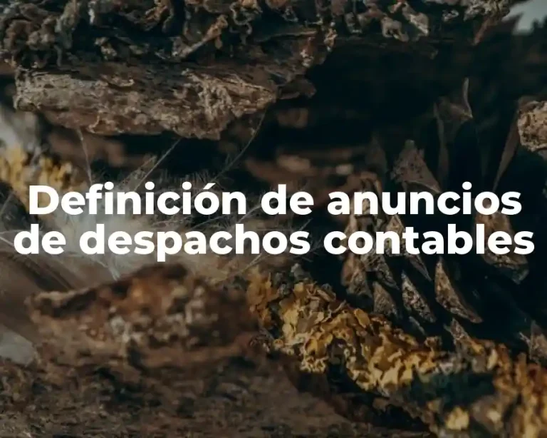 Definición de anuncios de despachos contables