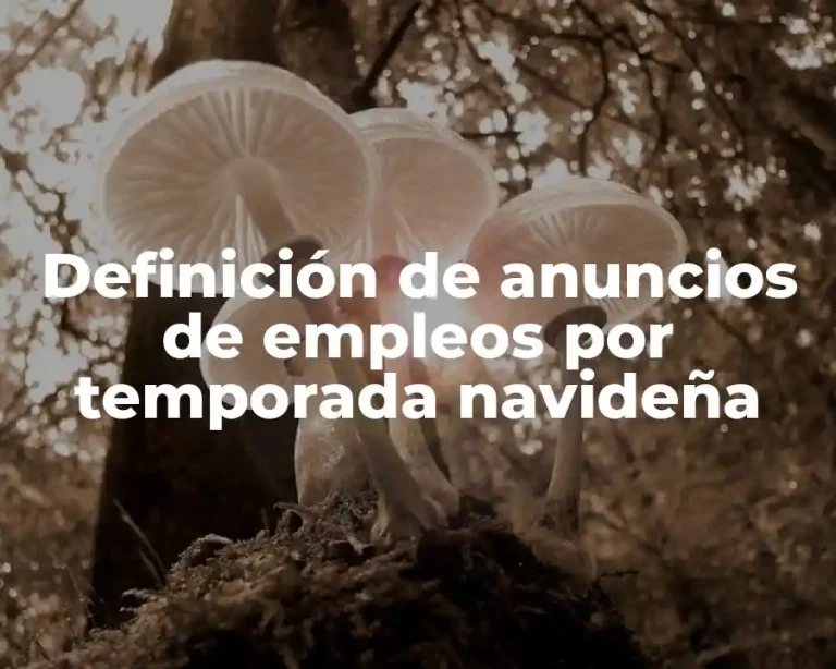 Definición de anuncios de empleos por temporada navideña