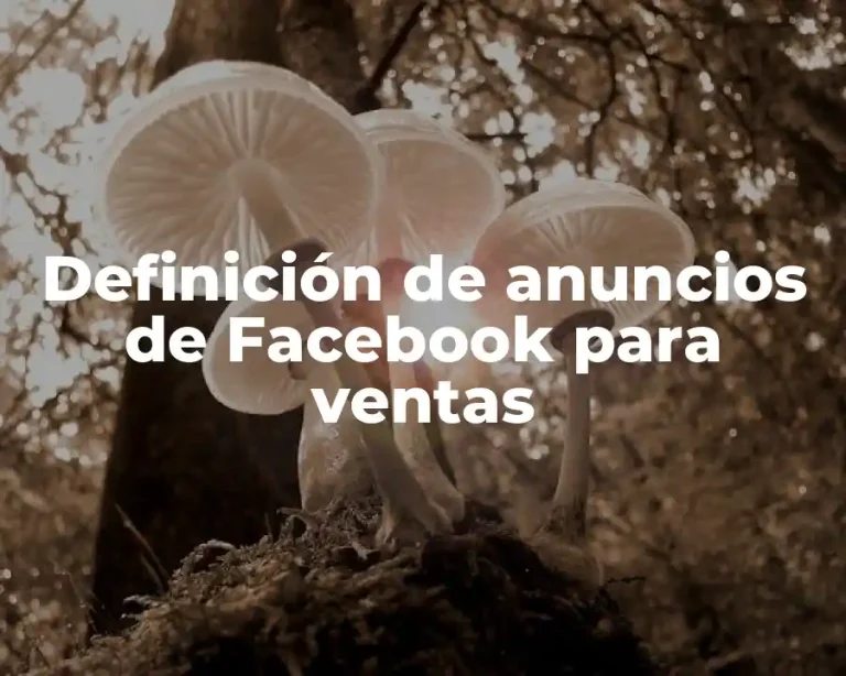Definición de anuncios de Facebook para ventas