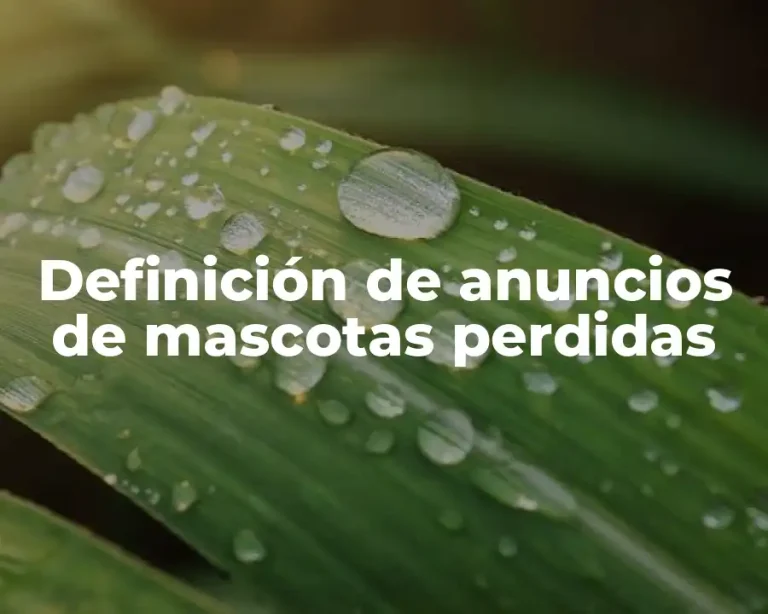 Definición de anuncios de mascotas perdidas