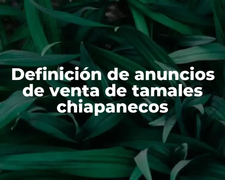 Definición de anuncios de venta de tamales chiapanecos