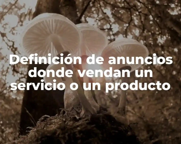 Definición de anuncios donde vendan un servicio o un producto