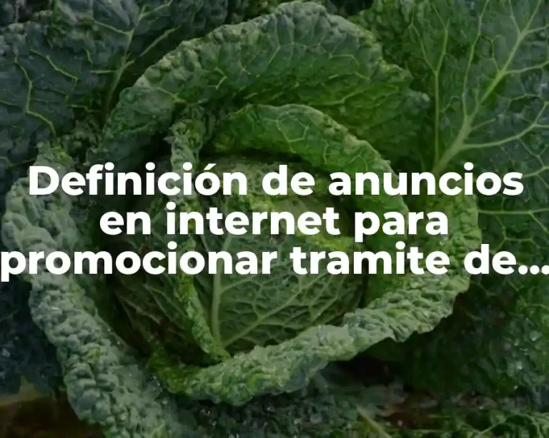 Definición de anuncios en internet para promocionar tramite de visas