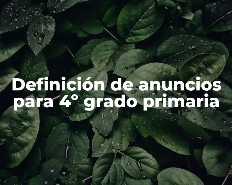 Definición de anuncios para 4º grado primaria