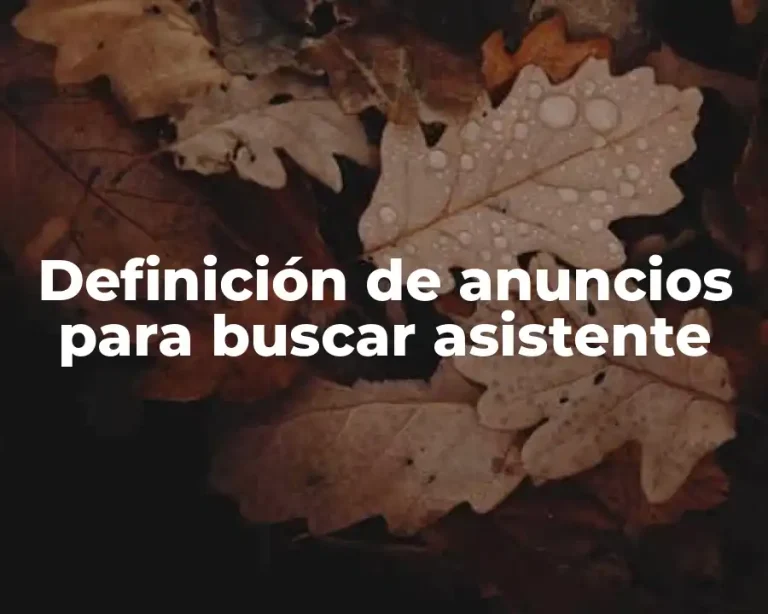 Definición de anuncios para buscar asistente