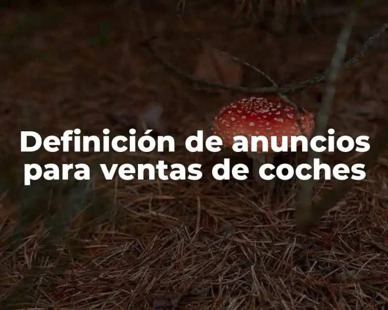 Definición de anuncios para ventas de coches