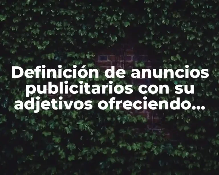 Definición de anuncios publicitarios con su adjetivos ofreciendo productos