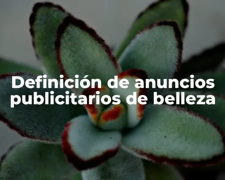 Definición de anuncios publicitarios de belleza