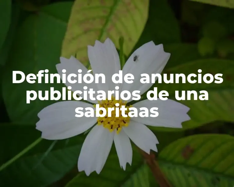 Definición de anuncios publicitarios de una sabritaas