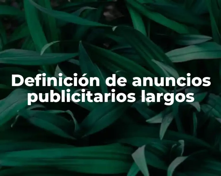Definición de anuncios publicitarios largos