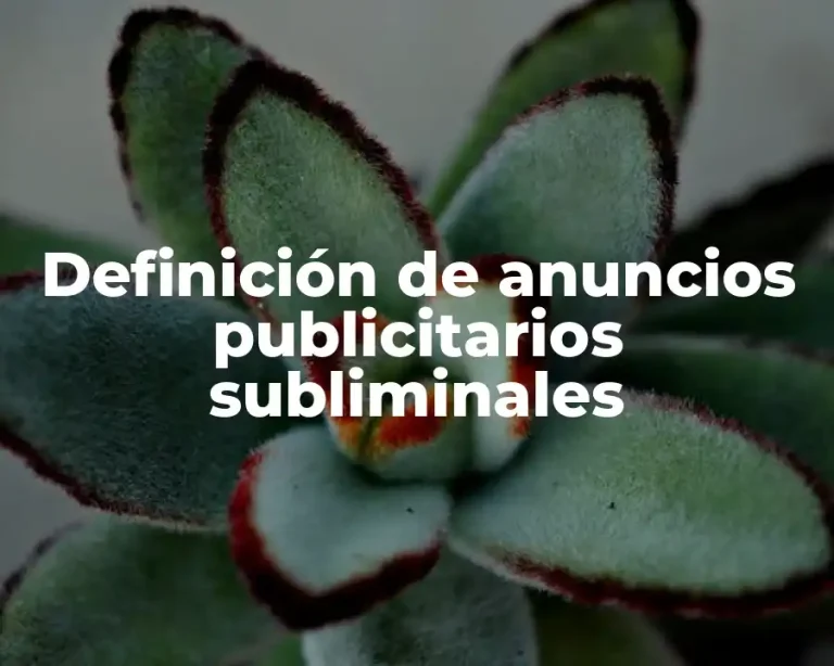 Definición de anuncios publicitarios subliminales