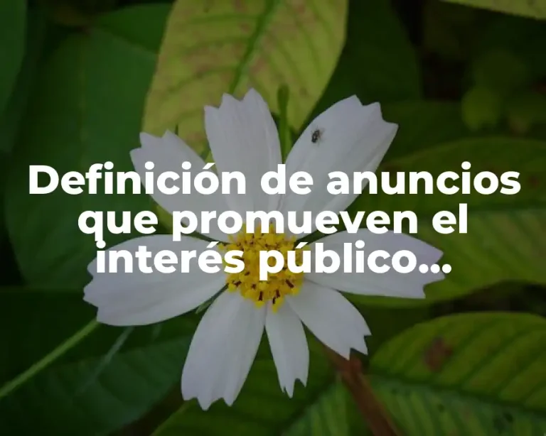 Definición de anuncios que promueven el interés público mexicano
