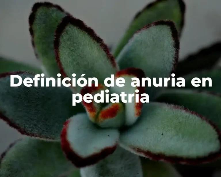 Definición de anuria en pediatria