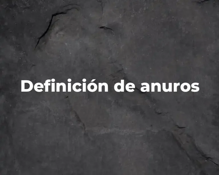 Definición de anuros